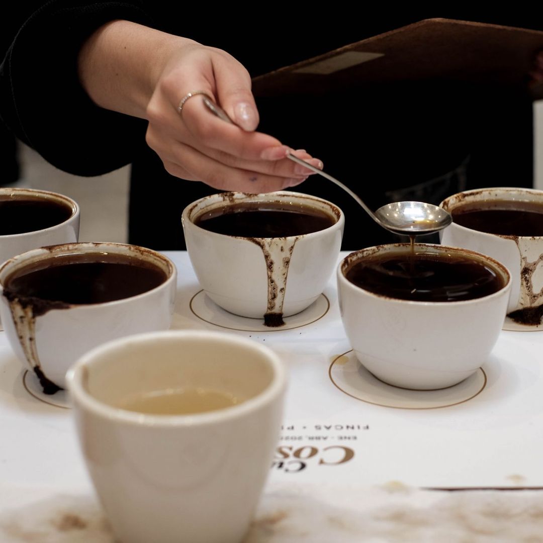 Tazas de café